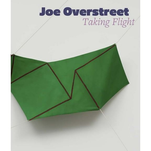 Joe Overstreet: Taking Flight, (Hardcover)