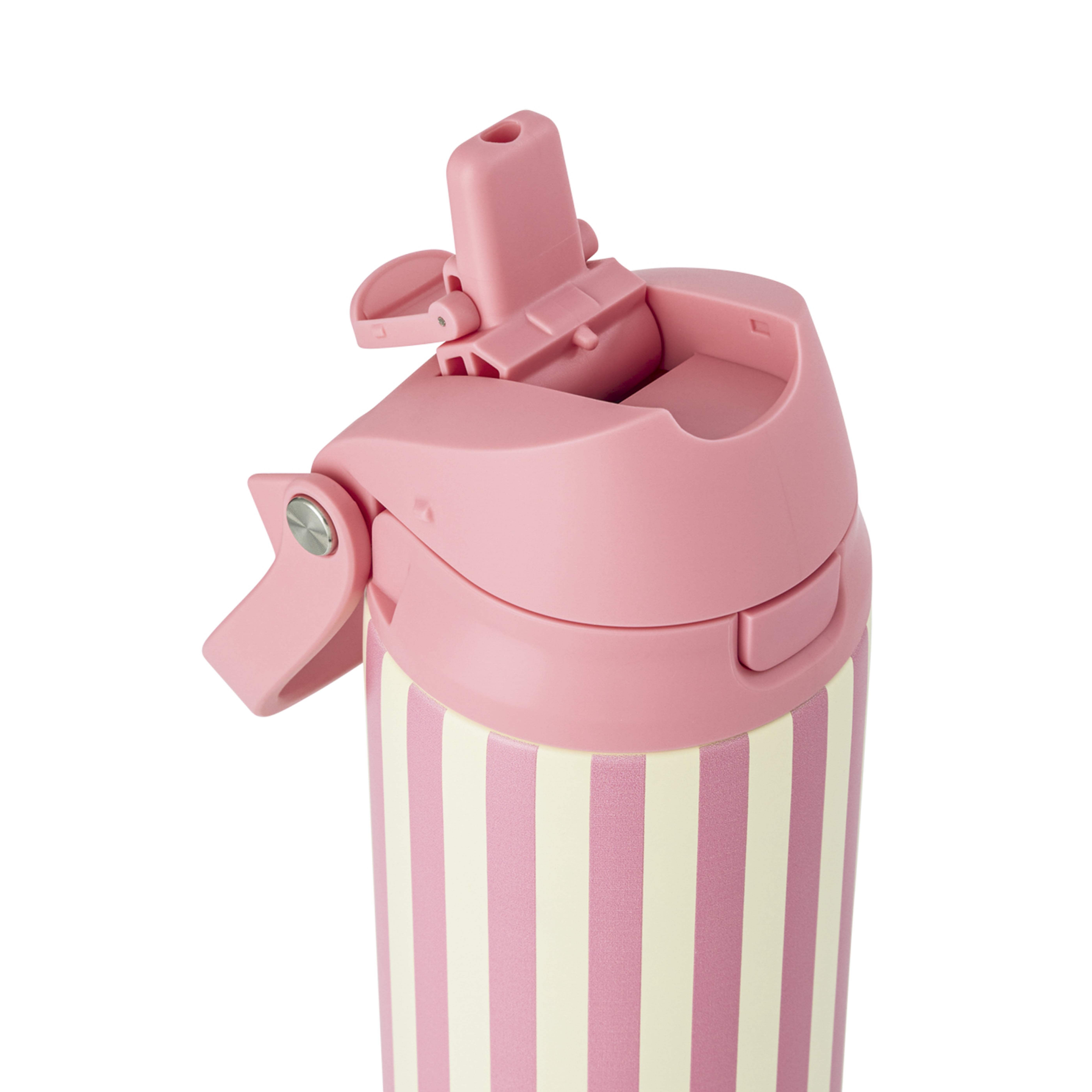 TAL 24oz Stainless Steel 2-in-1 Straw and Chug Water Bottle with Push Lid, Pink Stripes