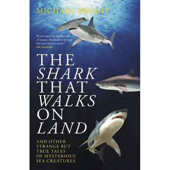 The Shark That Walks on Land (Paperback)
