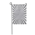 thumbnail image 1 of SIDONKU Silver Sun Gray with Rays Line Starburst Sunburst Burst Beam Shiny Solar Garden Flag Decorative Flag House Banner 28x40 inch, 1 of 1