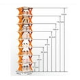 thumbnail image 2 of Yayun 8 Tier Shoe Rack Narrow Shoe Rack ,Multi Layer Creative Shoe Rack,Foldable Tier Shoe Storage Organizer Space Saving Shoe Organizer for Living Room Entryway Hallway and Cloakroom, 2 of 8