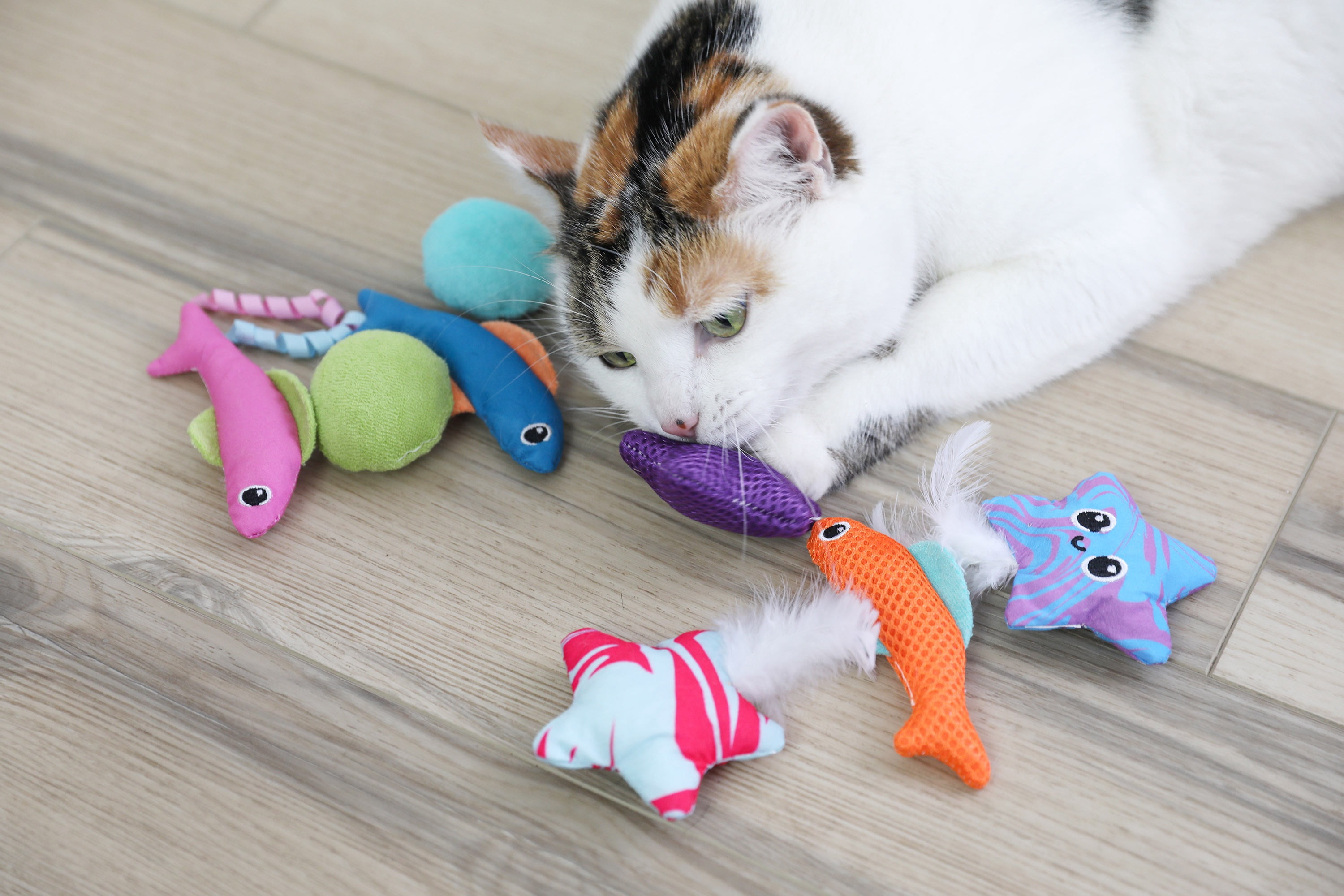 Quirky Kitty Ocean Cool Fish Bowl Bat and Chase Catnip Cat Toy, Pack of 8
