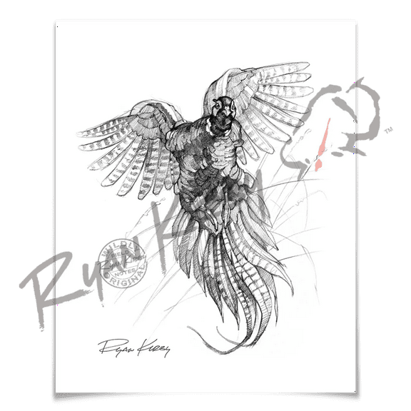 Flushing Pheasant Sketch Print
