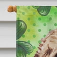 thumbnail image 3 of Carolines Treasures BB9549CHF Brown Cockapoo St. Patricks Canvas House Flag, 3 of 4