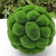 thumbnail image 5 of Bola de Musgo Artificial Sincero Verde 12 cm, 5 of 7