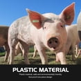 thumbnail image 1 of RUNROTOO 100Pcs Livestock Green Plastic Ear Tags Animal Identification Tags for Sheep Cattle, 1 of 6
