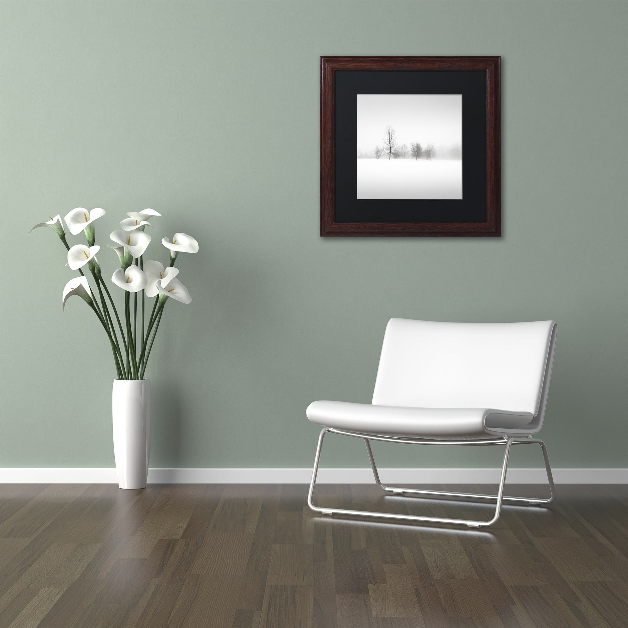 Trademark Fine Art "Winter Fog" Canvas Art by Dave MacVicar, Black Matte, Wood Frame