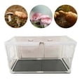 thumbnail image 2 of Almencla Contenant à Champignons Kit Bricolage Intérieur Couvercle Transparent pour Fournitures de Plantation de Champignons, 2 of 8