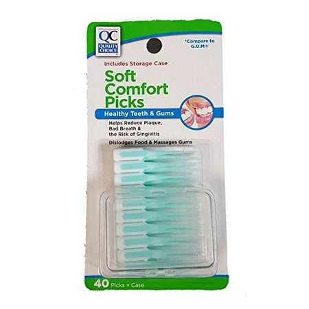 Quality Choice Soft Comfort Picks Teeth & Gums with case 40 Count (Best Gum For Your Teeth)