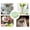3.94×3.94 in, variant on Silicone Flower Arranging Grid, Flower Vase Spiral Blossom Grid, Color Random Flower Grid for Vase, Floral Stem Fixing Support Tool, DIY Wedding Home Flower Arranging Grid, Vase Buddy,2.4×2.4 in