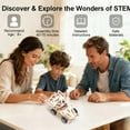 thumbnail image 5 of Diy Laboratory Science Experiment Wooden Toy Set, Build Hand-Crank Car, Land Vehicle And Water Boat, Stem Educational Kit for Kids to Learn Physics Basics, 5 of 5