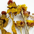 thumbnail image 4 of Bergamo Art 20 Inch High Real Preserved Mixed Bouquets Mix 1 in Large, 4 of 10