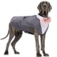 thumbnail image 1 of Esmoquin para perro Dora Bridal, grande, con corbatín, traje formal, 1 of 8
