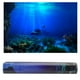 thumbnail image 1 of Póster de pecera PVC autoadhesivo resistente duradero impermeable Seaworld colorido para decoración de pecera decoración de acuario, 1 of 8