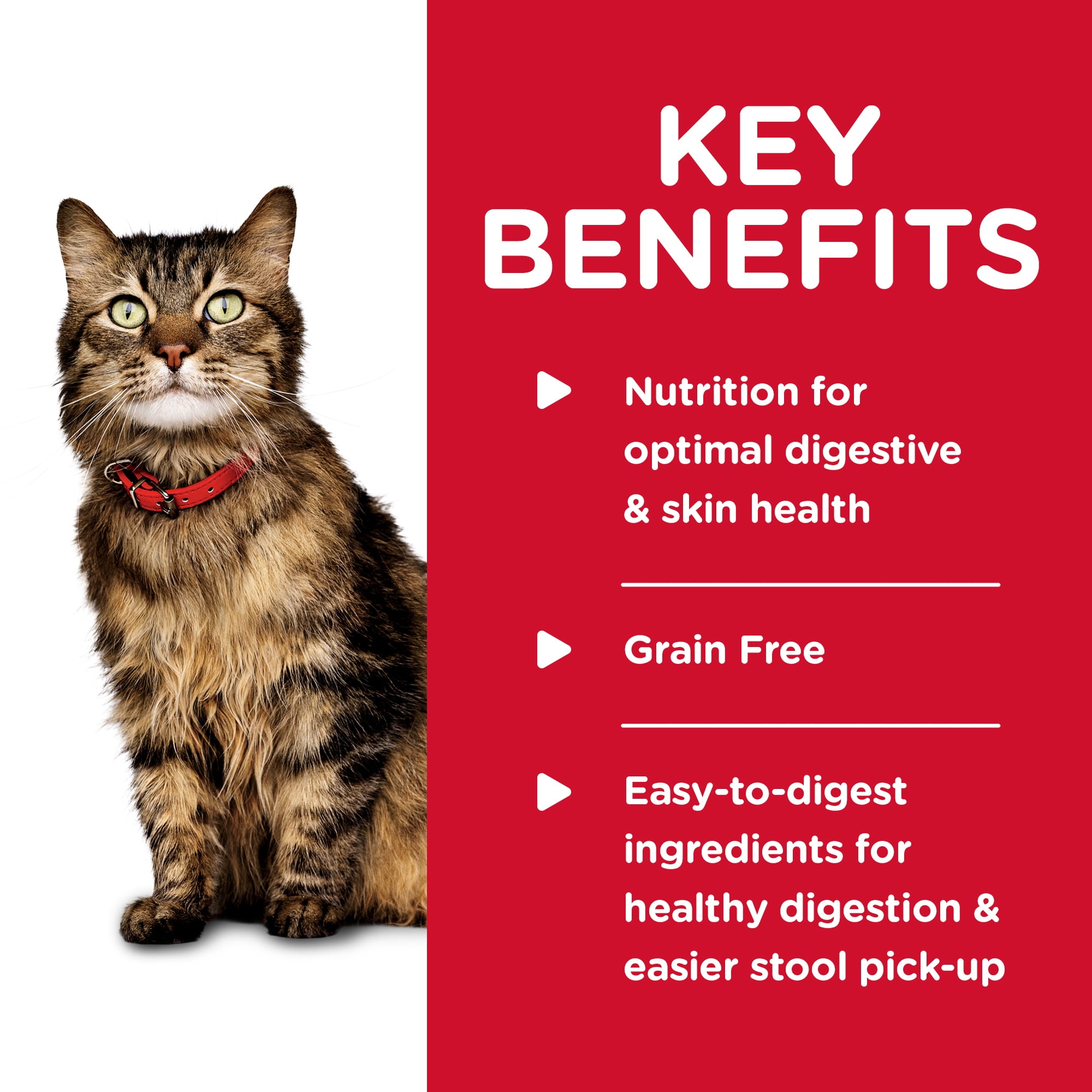 Hills sensitive stomach wet cat cheap food