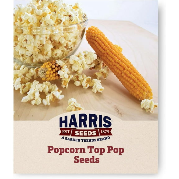 Harris Seeds Popcorn Top Pop Treated Non-GMO - 10K Seeds