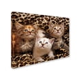 thumbnail image 2 of Trademark Fine Art 'Kittens 3' Canvas Art by Mike Jones Photo, 2 of 3