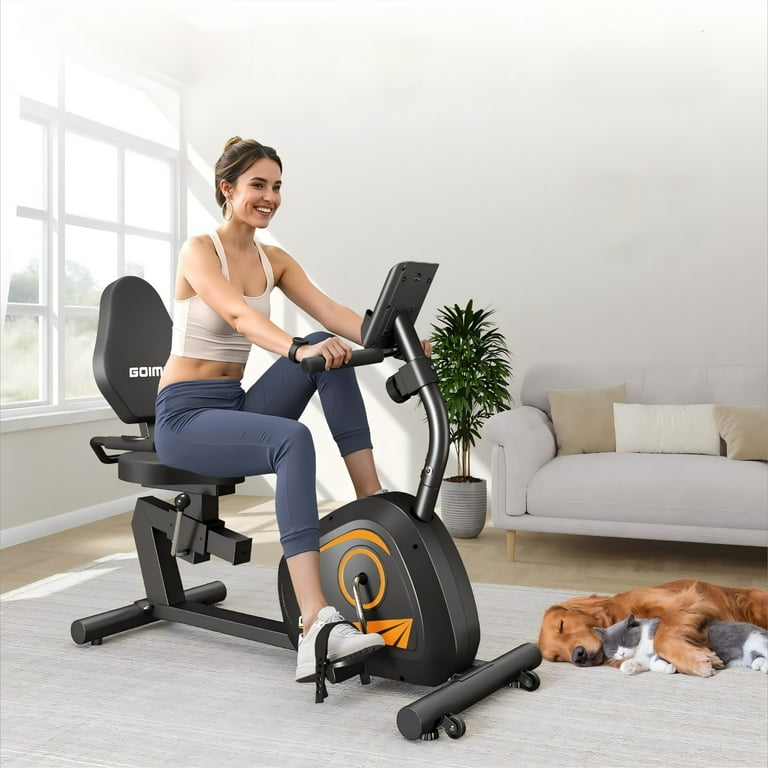 Adults Seniors Health Fitness Magnetic Recumbent Exercise Bike For