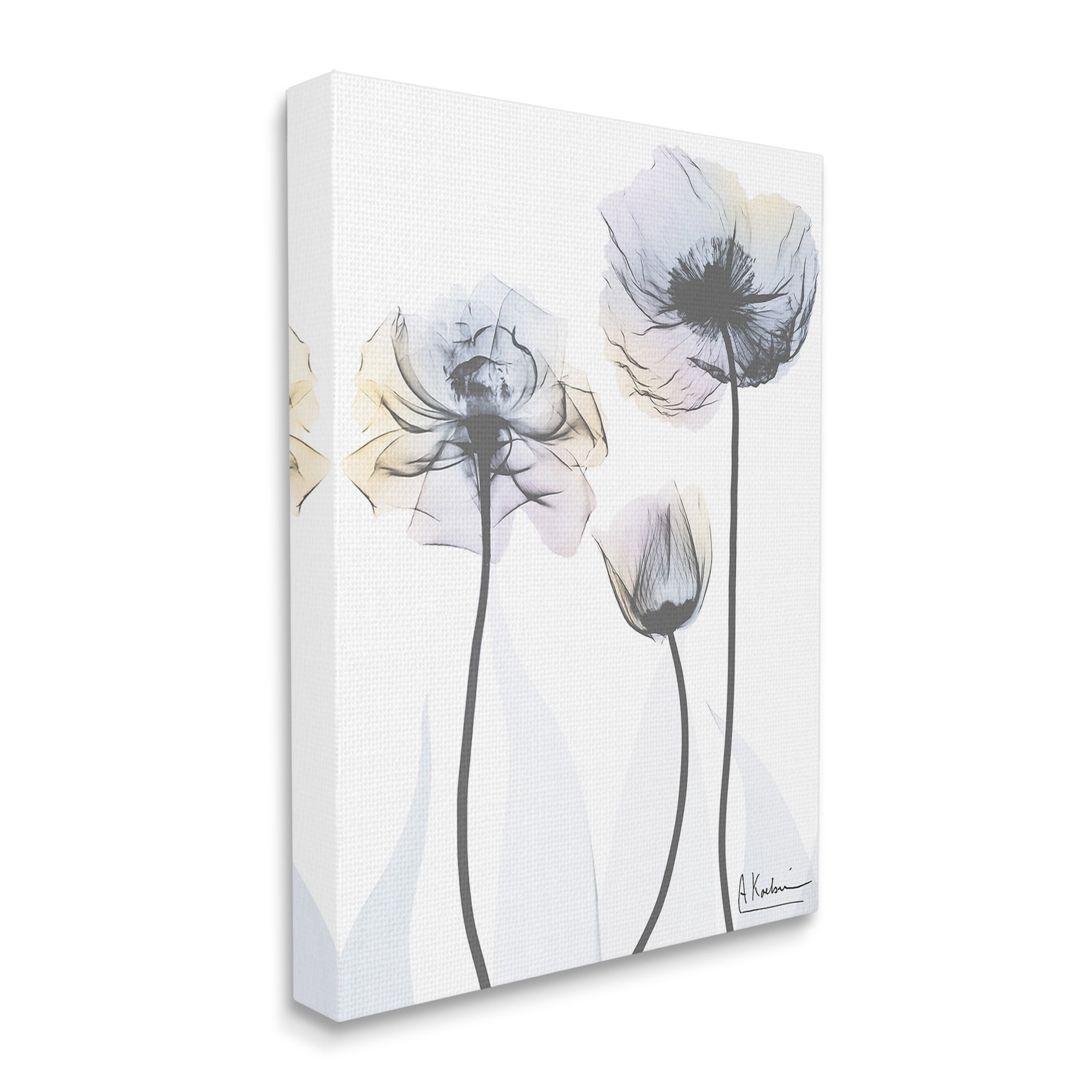 Stupell Industries Poppy Flower Trio Botanical & Floral Photography Gallery Wrapped Canvas Art Print Wall Art, 24 x 30