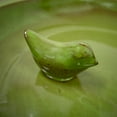 thumbnail image 7 of Esschert Design USA  Ceramic Bird Bath on Pedestal with Bird, Green, 7 of 7