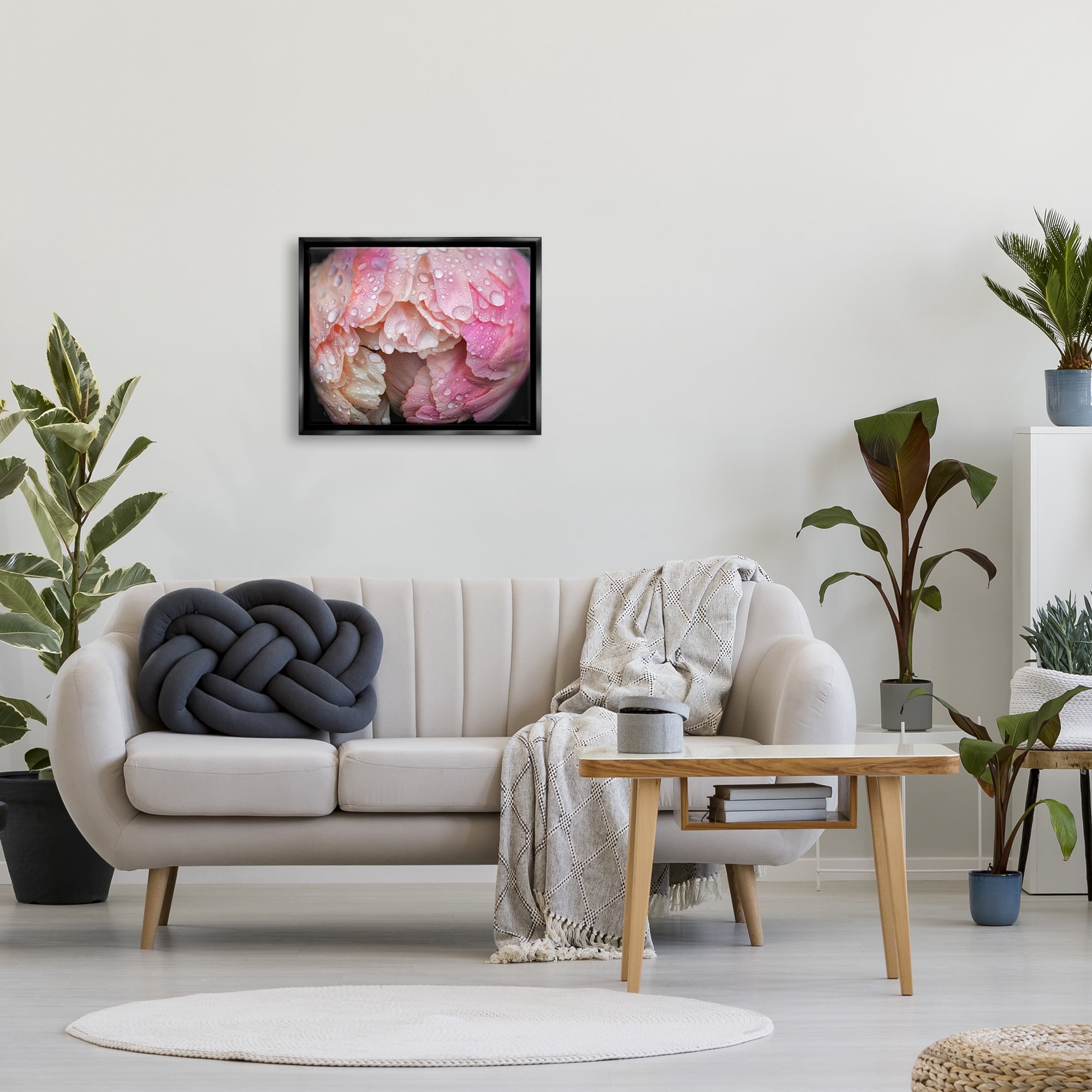 Stupell Industries Pink Peony Budding Water Droplets Botanical & Floral Photography Black Floater Framed Art Print Wall Art