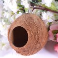thumbnail image 2 of Cueva colgante de cáscara de coco para hámster, nido creativo para dormir para hámster, ardillas y pájaros (diámetro aleatorio), 2 of 7
