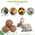 thumbnail image 6 of Natural Willow Woven Ball Toy for Small Pets - Chewable, Dental Health Promoting, Home Decor Friendly, 6 of 9