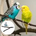 thumbnail image 2 of 10pcs Bird Parrot Perch Stand Set - Natural Wood Bird Parrot Stand Branches Fork Perch Rod Stand for Small Parakeets, 2 of 8