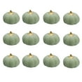 thumbnail image 7 of 12PCS Small Velvet Pumpkins Fake Mini Pumpkin Faux Harvest Fabric Foam Pumpkin Thanksgiving Halloween Decor for Fall Decor Table Centerpiece Wedding Farmhouse Decoration, 7 of 7