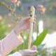thumbnail image 5 of Regalos de instrumentos musicales de clarinete de estilo alemán de tono alto de 8 agujeros de madera de melocotón Likrtyny Deportes al aire libre Salida diaria Juego de fiesta, 5 of 9