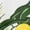 1-Army Green3025, variant on Tiijoy Summer Boys Hawaii Beach Outfits Tropical Print Short Sleeve Button Down Shirt Shorts Set Kids Clothing Sets, Sizes 1-8