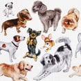 thumbnail image 1 of Set of 2 Luncheon Dogs Happiness Napkins 20 Pack, 1 of 1