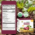 thumbnail image 2 of SUNGIVEN Organic Ramen Noodles Beetroot Healthy Low Sodium Ready in 3 Minutes Non-Fried Instant No Additives or Preservatives 2.47 OZ (Pack of 10), 2 of 6