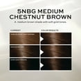 thumbnail image 5 of John Frieda Brown Permanent Precision Hair Dye Color Foam Kit, 5NBG Medium Chestnut Brown , 1 Application, 5 of 10