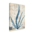 thumbnail image 2 of Trademark Fine Art 'Seaweed Arrangement II' Canvas Art by Vision Studio, 2 of 4
