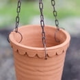 thumbnail image 2 of CTW 460360 Chihuahuan Hanging Terra Cotta Planter, 7-inch Height, 2 of 2