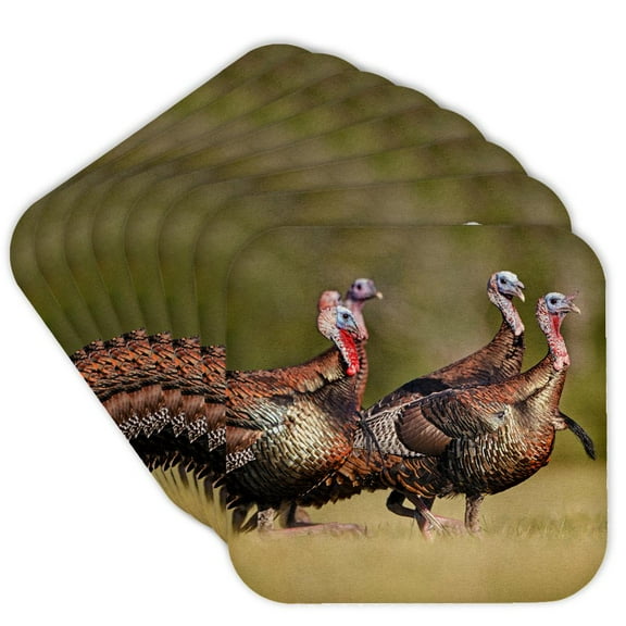 3drose, Wild Turkey, Meleagris Gallopavo, Male, Set of 8 Coasters - Soft