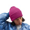 thumbnail image 3 of Beechfield  Adult Classic Deep Cuffed Beanie, 3 of 3