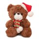thumbnail image 1 of Dibujos animados de oso de peluche de 28 cm con sombrero de Navidad para regalo de cumpleaños (marrón oscuro) Tmvgtek Para estrenar, 1 of 3