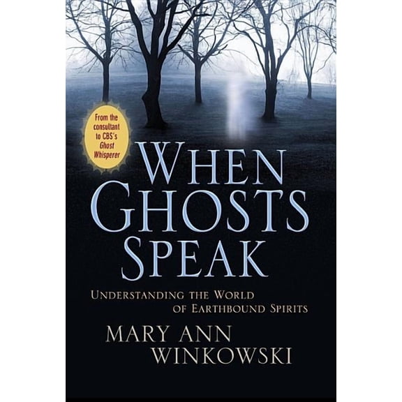 When Ghosts Speak: Understanding the World of Earthbound Spirits, (Hardcover)