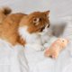 thumbnail image 1 of Juguete para gatos, lindo animal de peluche, gatito, menta, juguetes interactivos (marrón) Likrtyny Oficina Multiescena Multifunción, 1 of 9