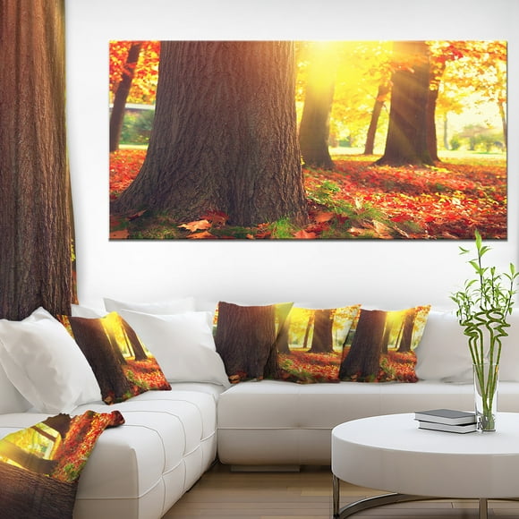 Autumn Trees in the Sunlight - Large Landscape Canvas Art