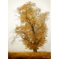 thumbnail image 2 of Geyman, Vitaly 11x14 Gold Ornate Wood Framed with Double Matting Museum Art Print Titled - Autumn Mist I, 2 of 4