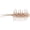 Ebi Dappi, variant on Hideup Big Coike Shrimp 100mm Creature Bait (4 Pk)