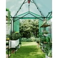 thumbnail image 6 of 6x8 FT Portable Walk in Greenhouse, Pop Up Greenhouse, Green House Kit with Zippered Roll-Up Doors and Windows, Double Frame, PE Cover Grow Tent for Winter, for Indoor/Outdoor Plants, 6 of 8