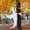 Cute, variant on Joyfy Halloween Tree Wrap Ghost Decoration, Cute Ghost Design Decorations for Halloween Outdoor, Lawn, Tree Decor, Ghost Party Supplies