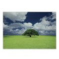 thumbnail image 1 of Nature Cutting Board, Single Old Tree on Wide Grass Field Fluffy Clouds Sunny Summer Day Cloudscape Print, Decorative Tempered Glass Cutting and Serving Board, Small Size, Green Blue, by Ambesonne, 1 of 1