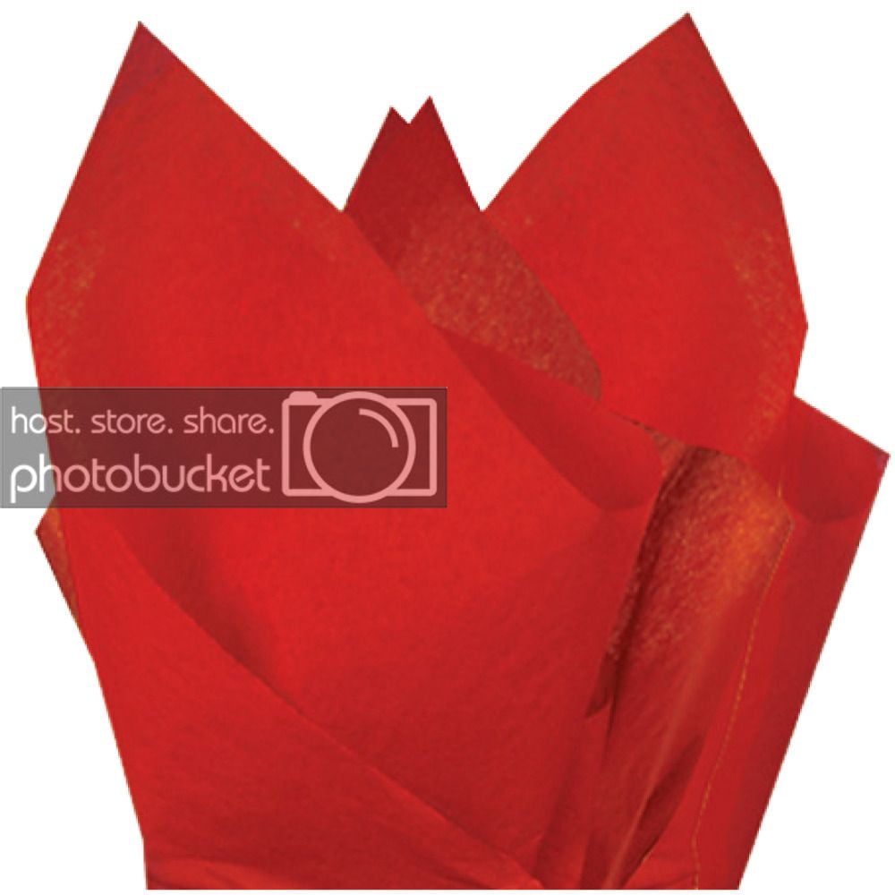 JAM Gift Bag Assortment, 2 Green Bags & Red Tissue Paper, 3/Pack