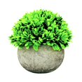 thumbnail image 1 of Mini Potted Artificial Plants, Decorative Fake Plant Faux Plants Indoor, 1 of 7