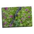 thumbnail image 2 of Gango Home Decor Contemporary Wildflower Meadow I by Kathy Mahan (Ready to Hang); One 24x16in Hand-Stretched Canvas, 2 of 4